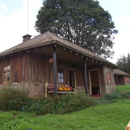 Castle Forest Lodge Mount Kenya National Park Exteriér fotografie