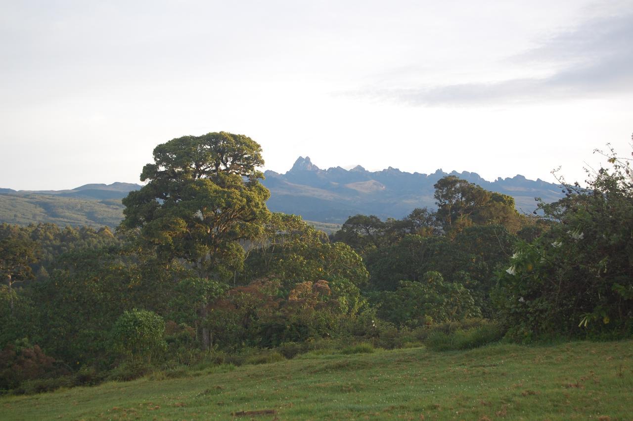 Castle Forest Lodge Mount Kenya National Park Exteriér fotografie