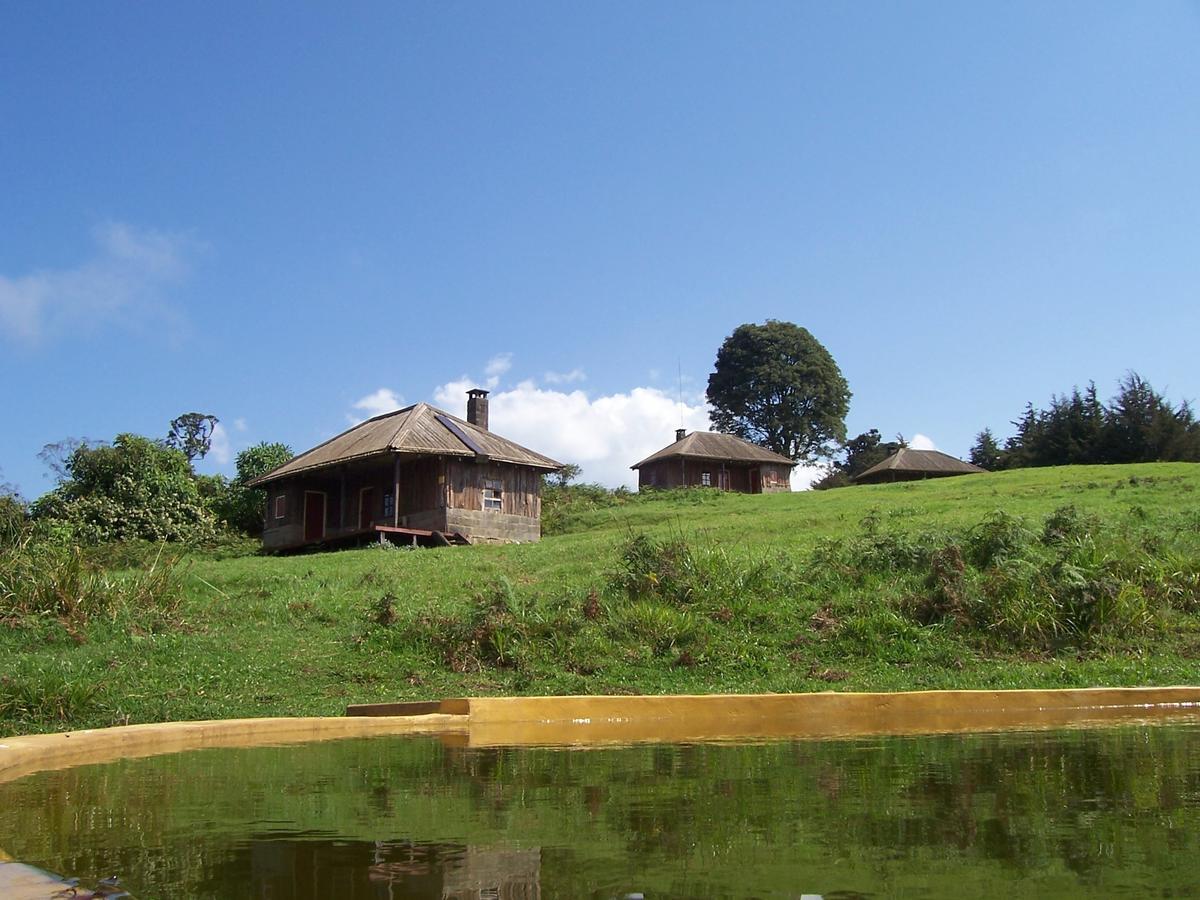 Castle Forest Lodge Mount Kenya National Park Exteriér fotografie
