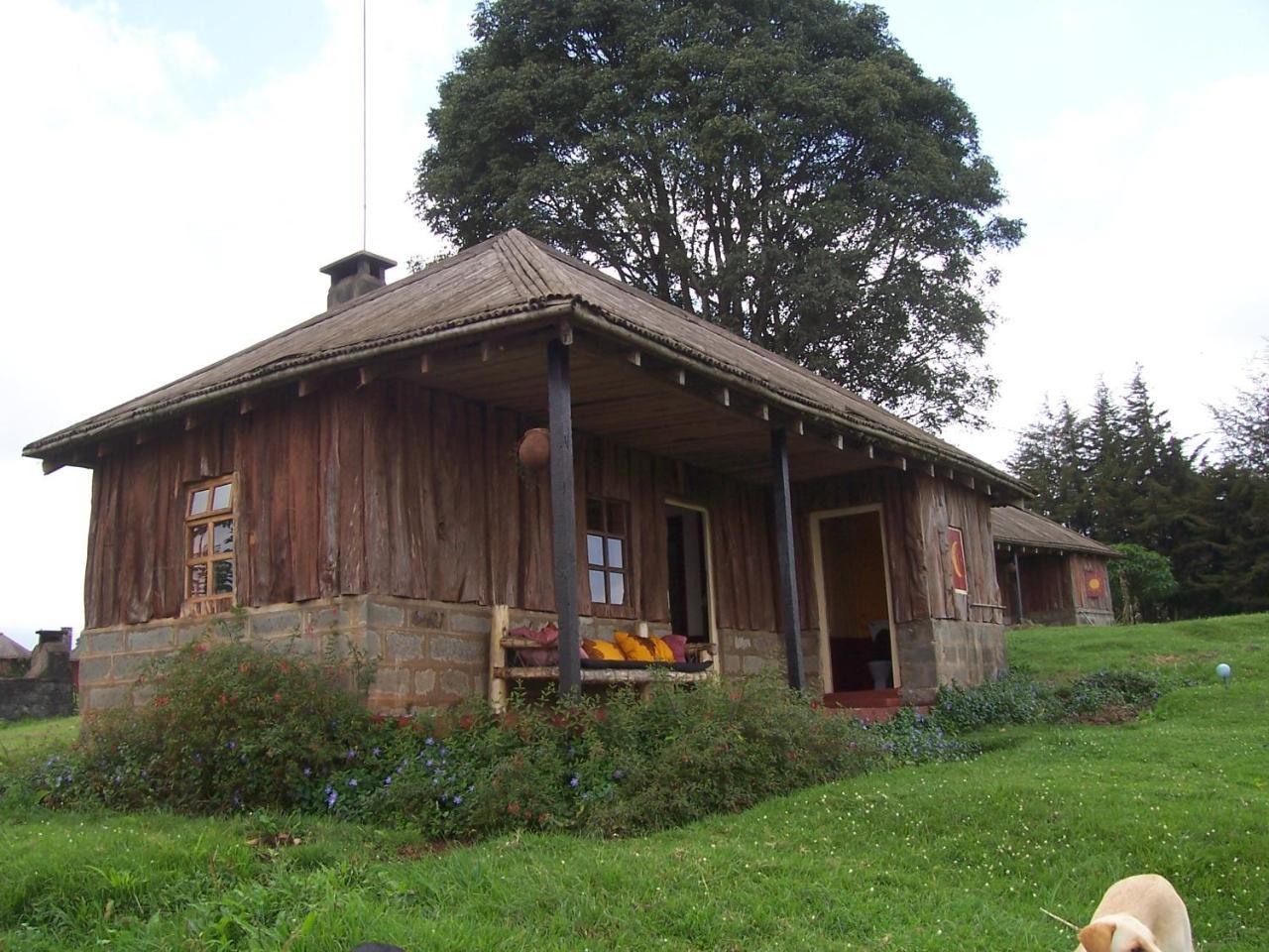 Castle Forest Lodge Mount Kenya National Park Exteriér fotografie
